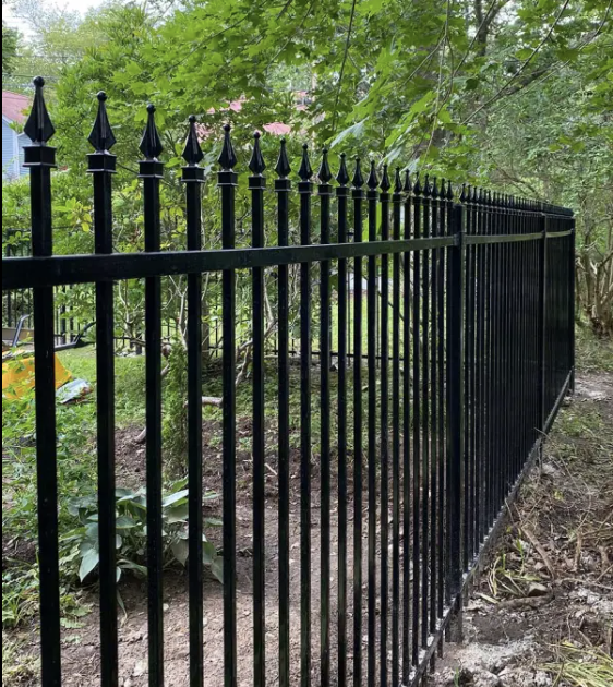 Black ornamental iron fence