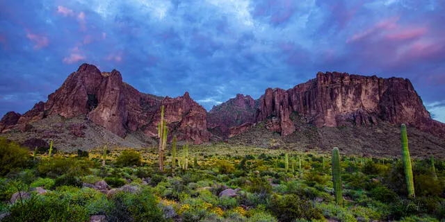 Arizona desert landscape with mountains and cactus