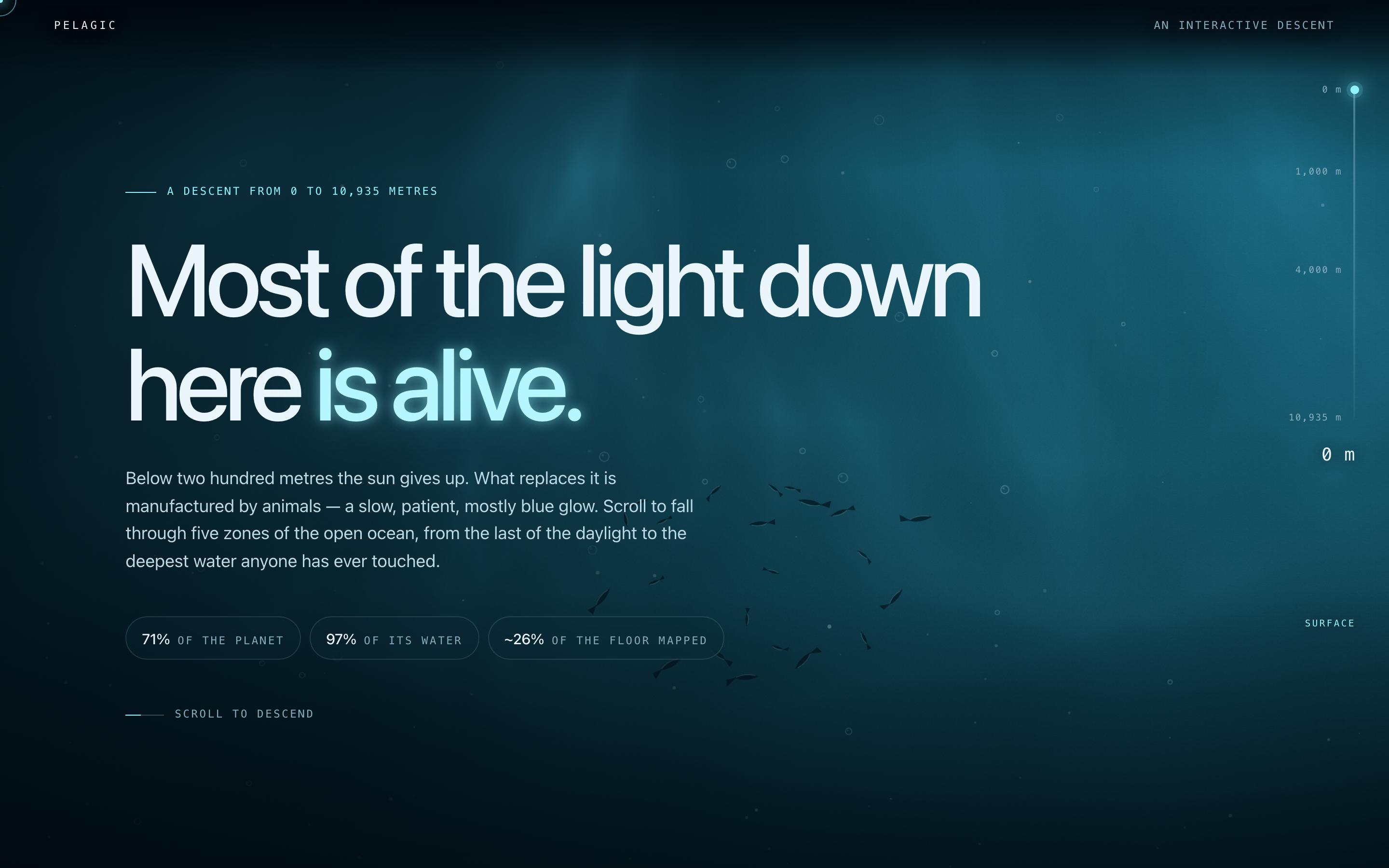 Ocean Conservation Website Template — preview