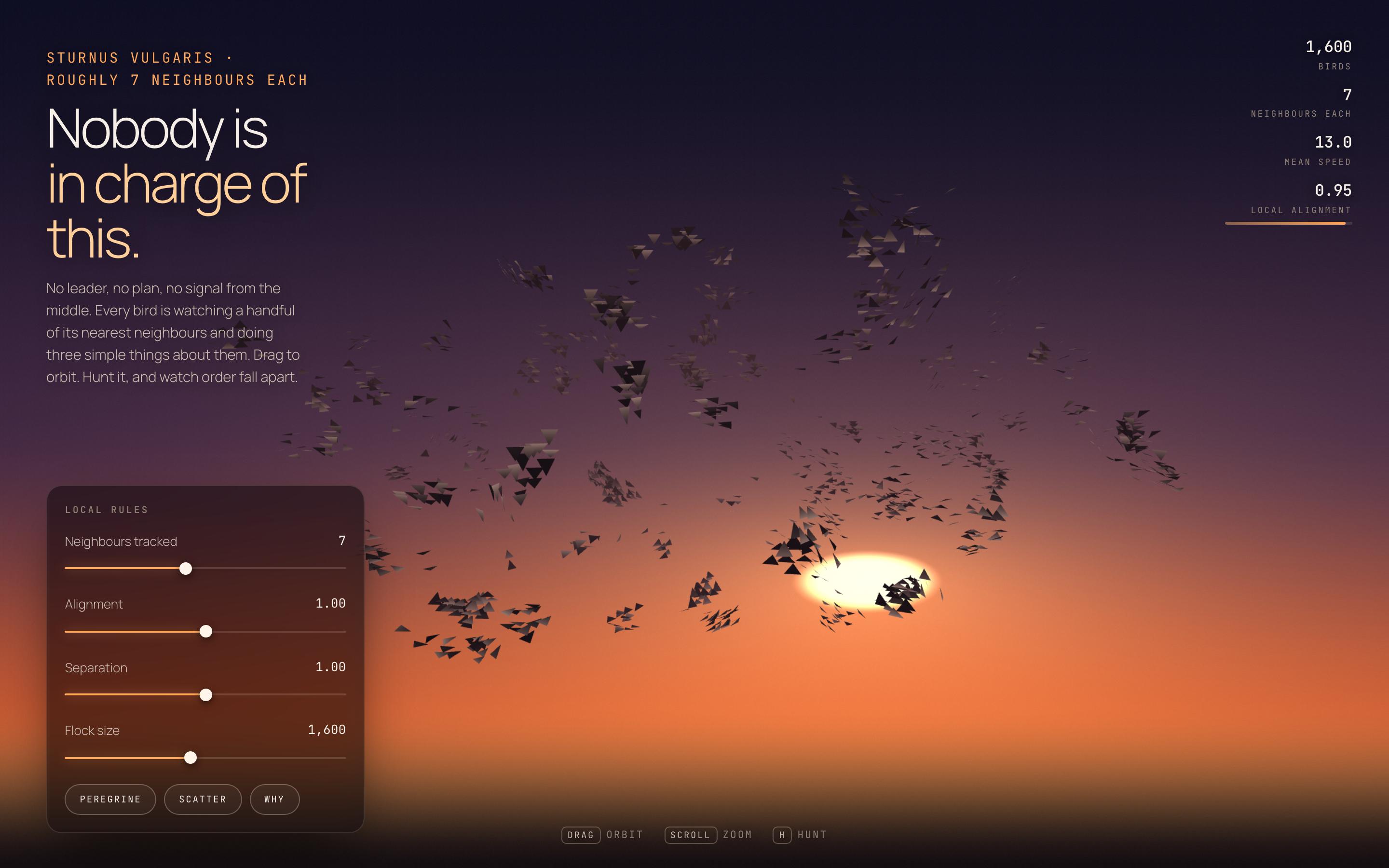 Flocking Simulation Web Template — preview